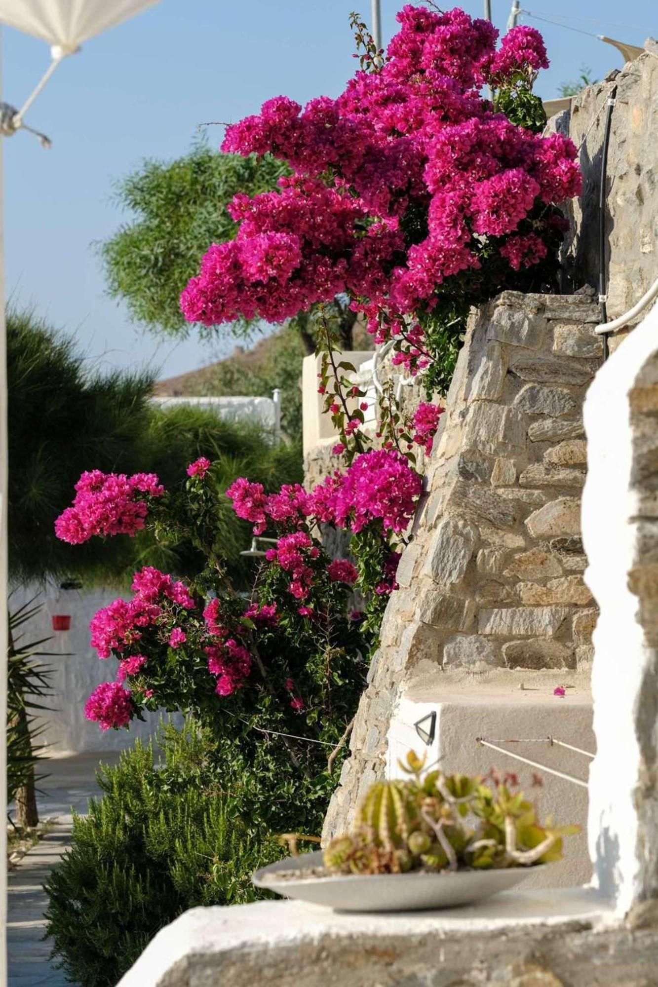 3 Paros All Season Villas Eksteriør billede